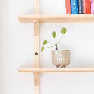 Ash Shelving
